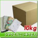 シマウエス(ニシキウエス)　10kg/箱[2kg×5袋]